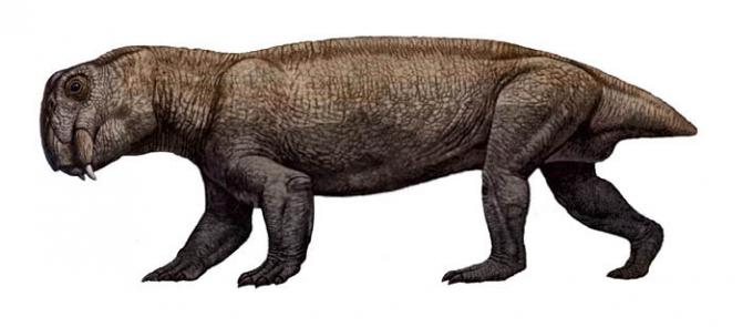 Lystrosaurus - выживший и вымерший